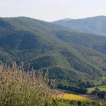 Вилла Torricella